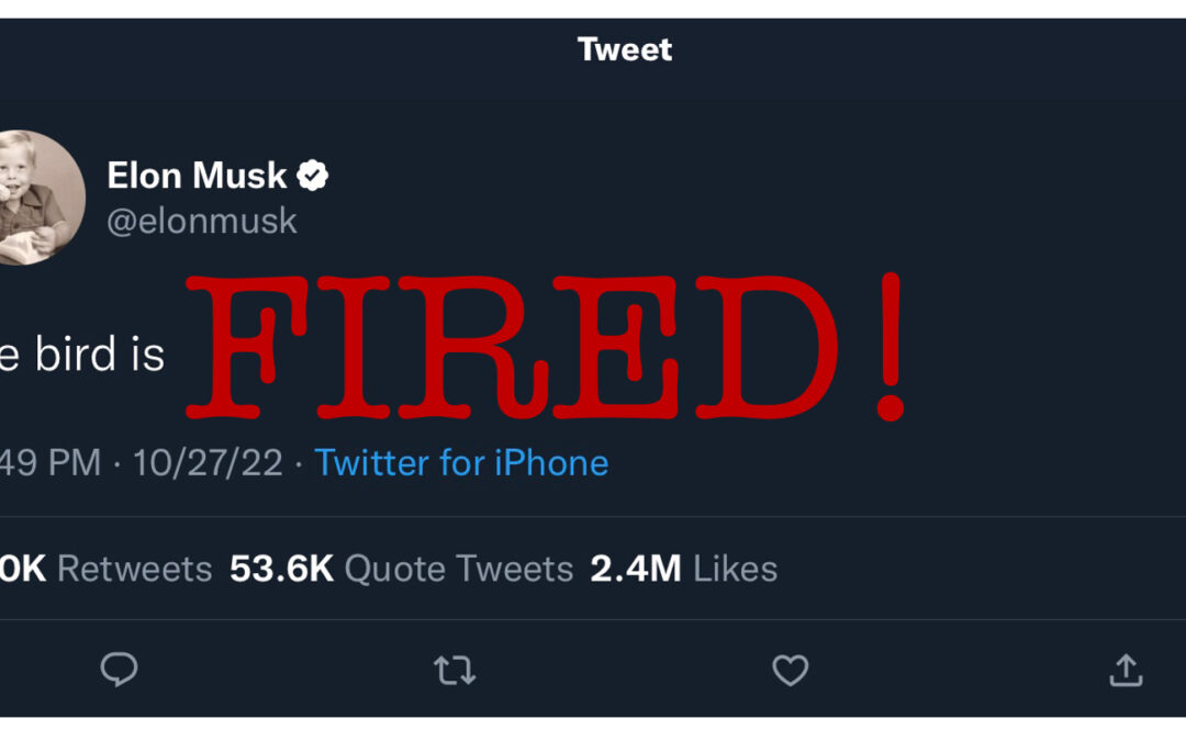 A graphic illustration that looks like a tweet from Elon Musk and is a play on the Musk tweet “the bird is freed.” It reads “the bird is” then is followed by “FIRED!” in large red letters.